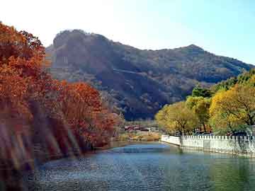 一肖一碼一一肖一子在深圳，以夢(mèng)釋義，解讀并落實(shí)