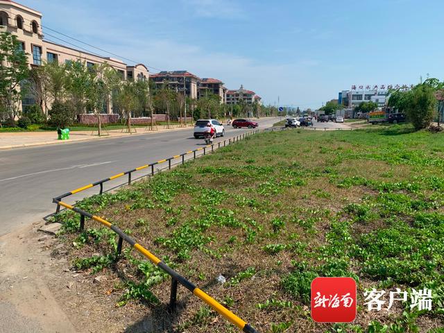新合埠路最新動態(tài)，邁向未來的城市主干道重塑與升級