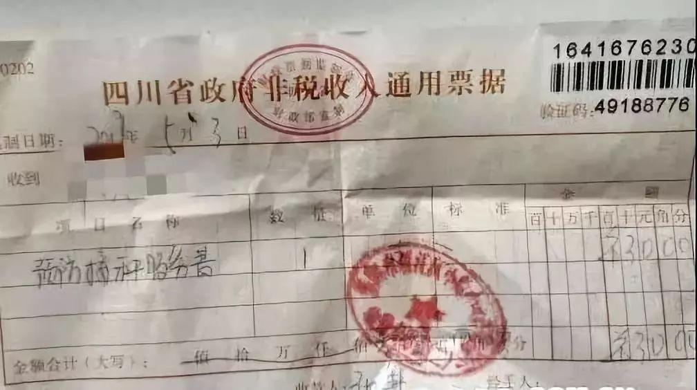 資陽(yáng)小院最新規(guī)劃圖，塑造未來(lái)宜居典范