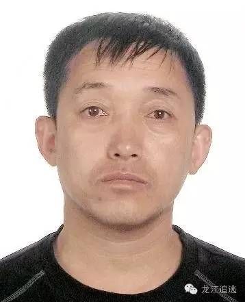 佳木斯市警方發(fā)布最新通緝令，追捕涉案人員，維護(hù)社會安定（2016年通緝令詳解）