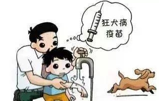 最新狂犬病發(fā)作視頻，理解與應對的挑戰(zhàn)