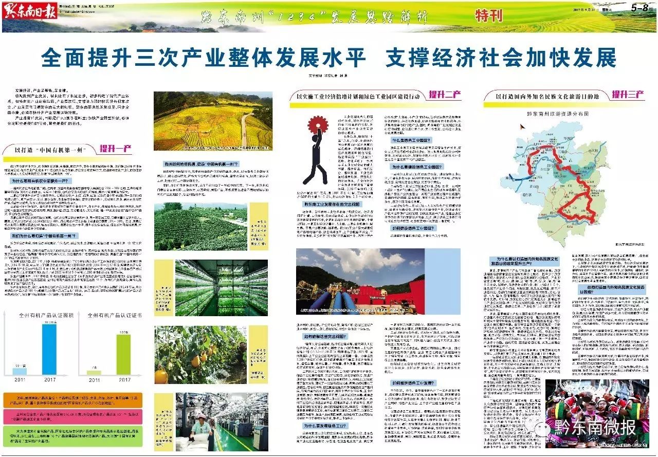 今期香港最新跑狗圖，探索與解讀