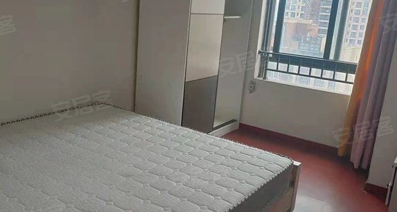 常州薛家租房信息最新動(dòng)態(tài)