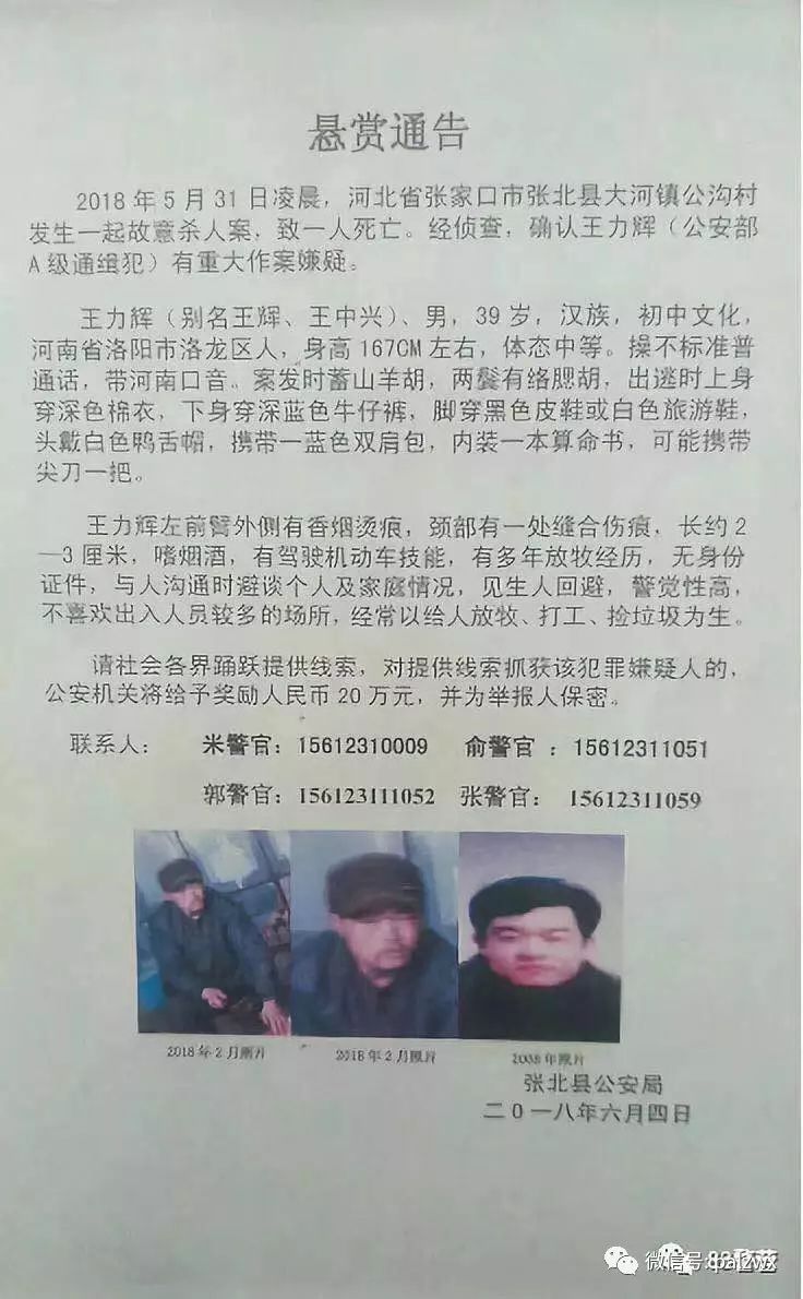 網(wǎng)上最新通緝犯名單，社會(huì)安全的警鐘長(zhǎng)鳴