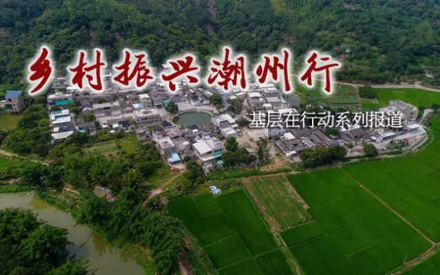 牧馬鎮(zhèn)蓮花村最新規(guī)劃，鄉(xiāng)村振興的藍(lán)圖展望