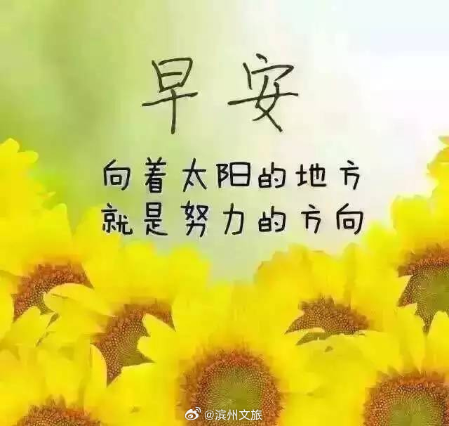 說(shuō)說(shuō)早安，迎接全新的一天，擁抱美好的人生