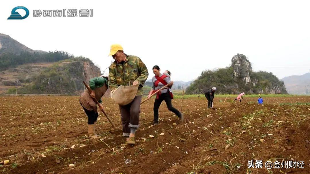 最新興仁下山鎮(zhèn)視頻，揭示一個(gè)美麗而充滿活力的鄉(xiāng)村面貌