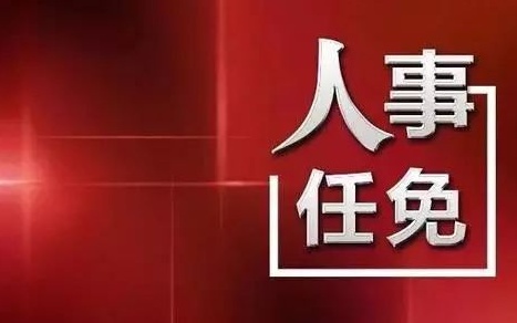 中央最新人事任免，蔡某某的新職務(wù)與未來(lái)展望
