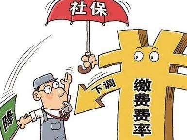 上海最新社?；鶖?shù)