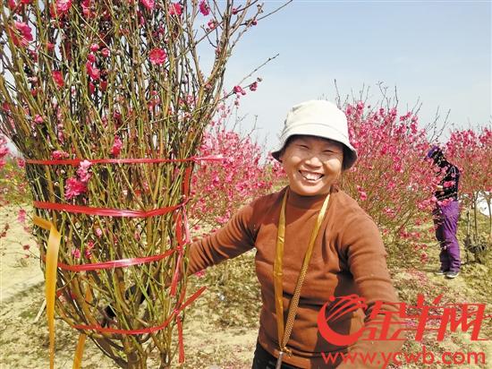 桃花族最新潮流，探索時代前沿的浪漫風(fēng)情