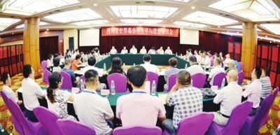 澳門王中王100的資料論壇，深入解析與落實(shí)的探討