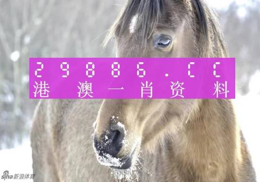 澳門一肖一碼100準(zhǔn)免費(fèi)，揭示背后的真相與風(fēng)險(xiǎn)