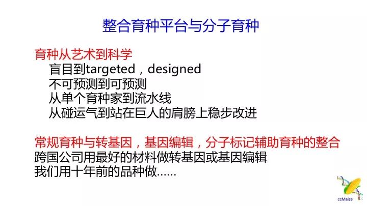 澳門正版免費服務(wù)與顧問釋義解釋落實，未來的趨勢與挑戰(zhàn)