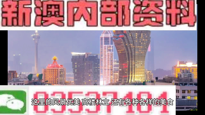 新澳門精準(zhǔn)資料大全，龍門資料最新解讀與實(shí)際應(yīng)用