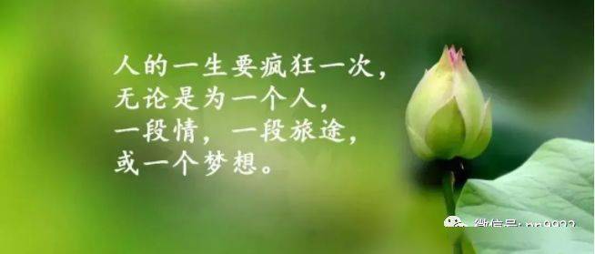 最新英文說說心情短語，探索心靈深處的情感潮汐
