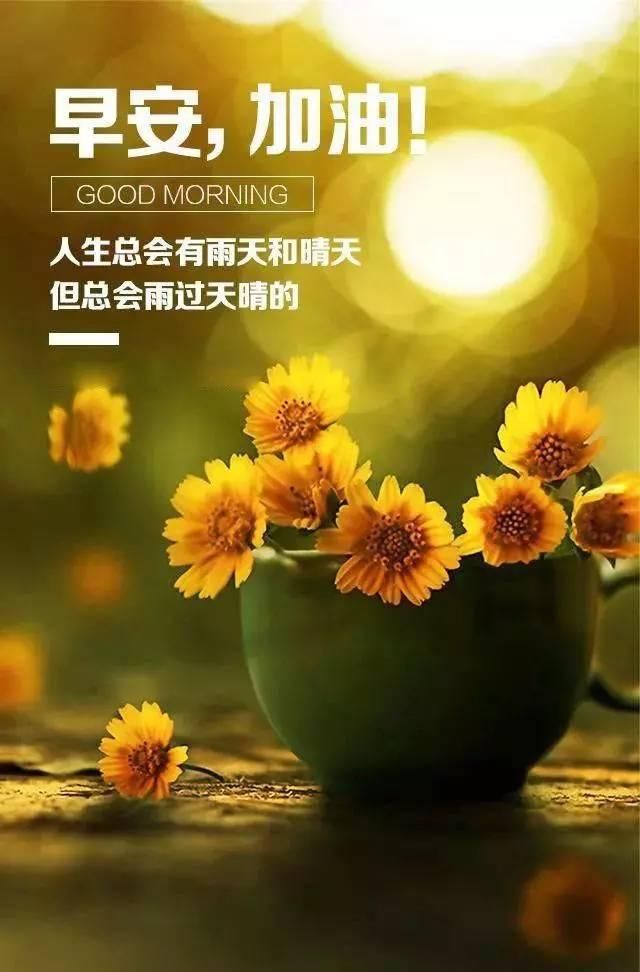 最新早安勵(lì)志語(yǔ)錄帶圖，開啟充滿活力的每一天